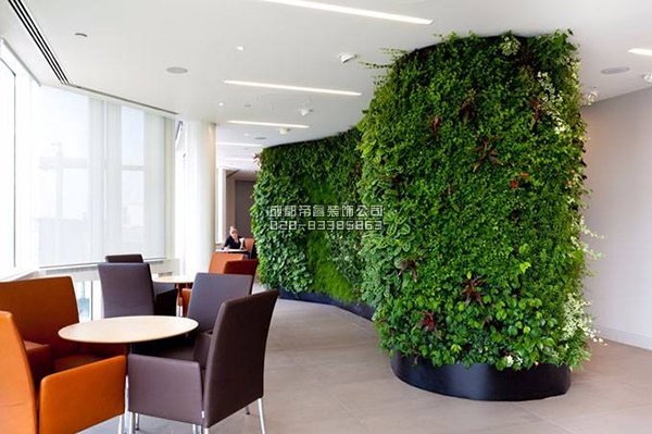 辦公室裝修完以后擺放什么綠植好？